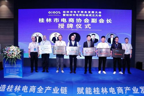 大咖云集 桂林市电子商务发展大会暨桂林市电商协会成立大会召开 电子商务搭建城市发展新桥梁